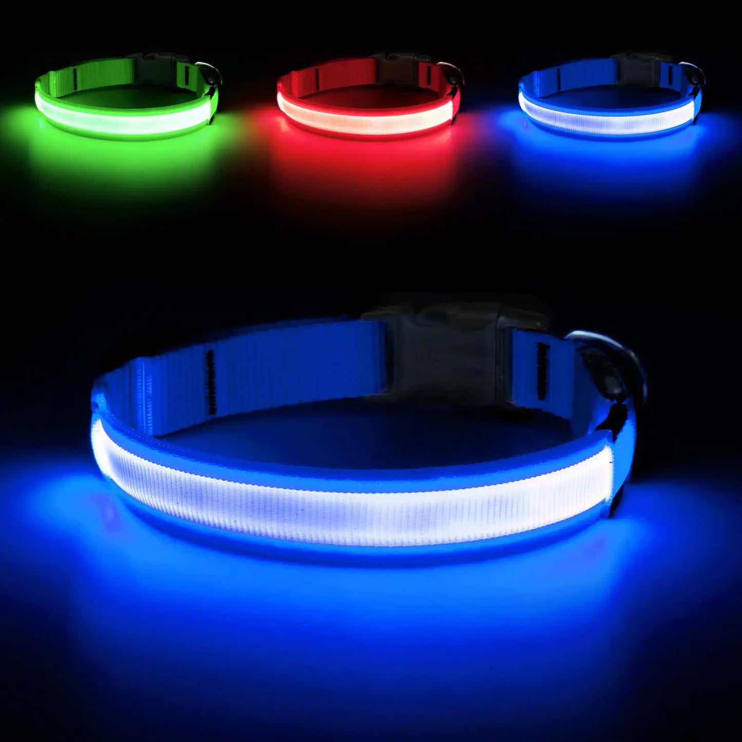 DOMIGLOW LED Dog Collar – USB Rechargeable, Reflective, Water-Resistant (Royal Blue, Large)